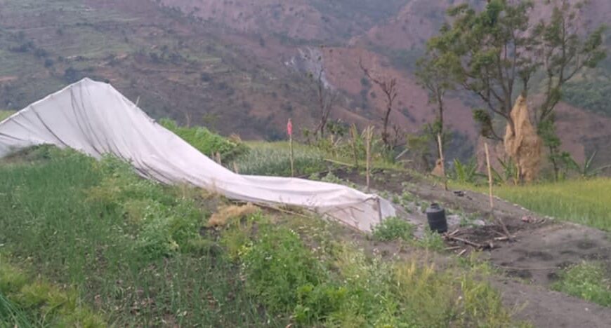 केदारस्युँ – २ मा पर्ने इन्ढुङ्गा जलवायुमैत्री कृषक पाठशाला हावाहुरी…