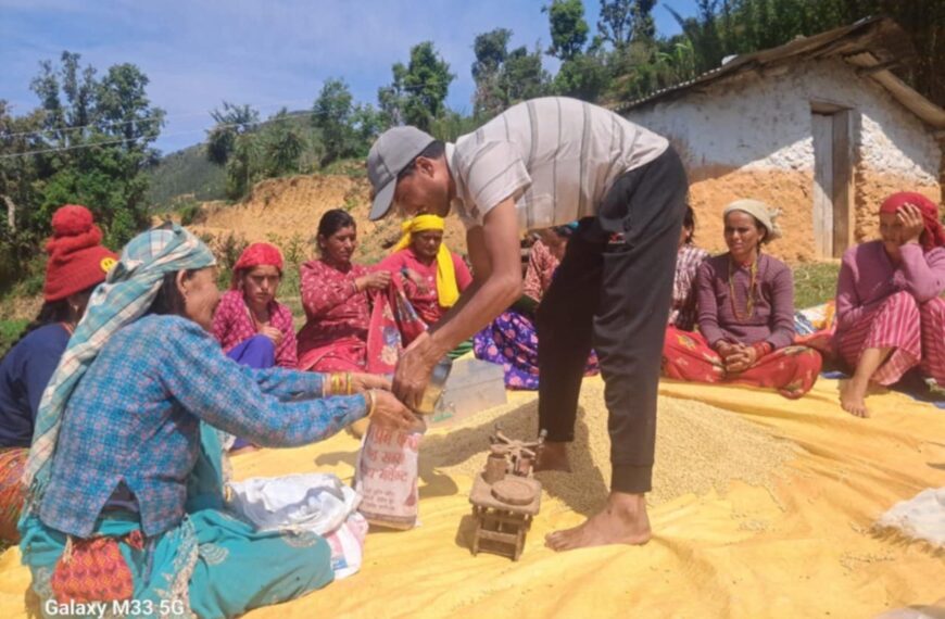 केदारस्युँ गाउँपालिकाका १३ वटा समूहलाई भटमासकाे बीउ वितरण