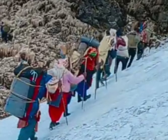 बुंगलका यार्सागुम्बा संकलक घर फर्किन थाले, जोखिम र अवसरसँगै…