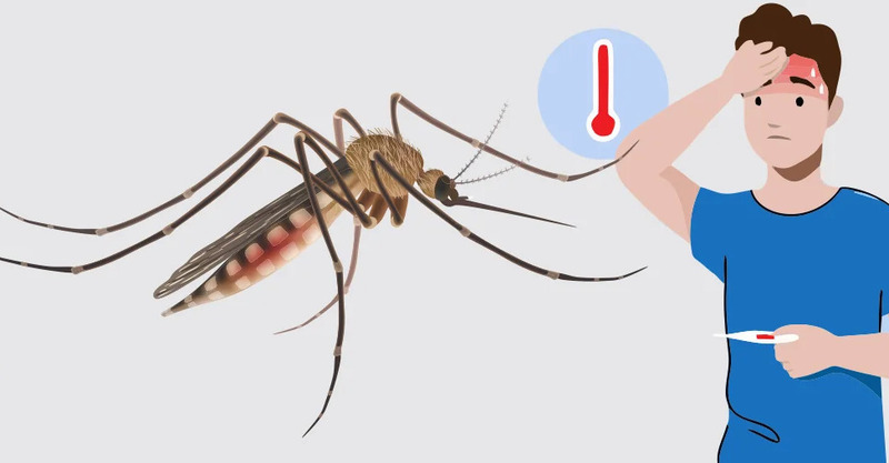 बझाङमा भारतबाट फर्किएका एक व्यक्तिमा औलो संक्रमण पुष्टि