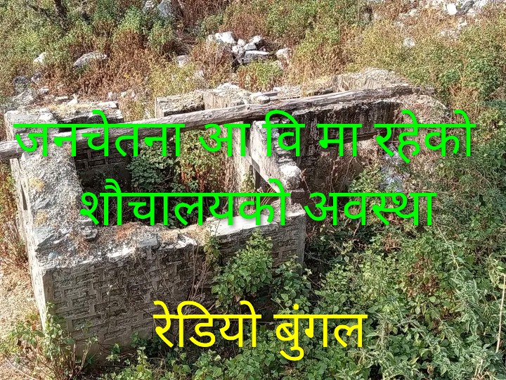 जनचेतना आधारभूत विद्यालयमा शौचालय अभाव, विद्यार्थी दिसापिसाबका लागि जंगल जान बाध्य