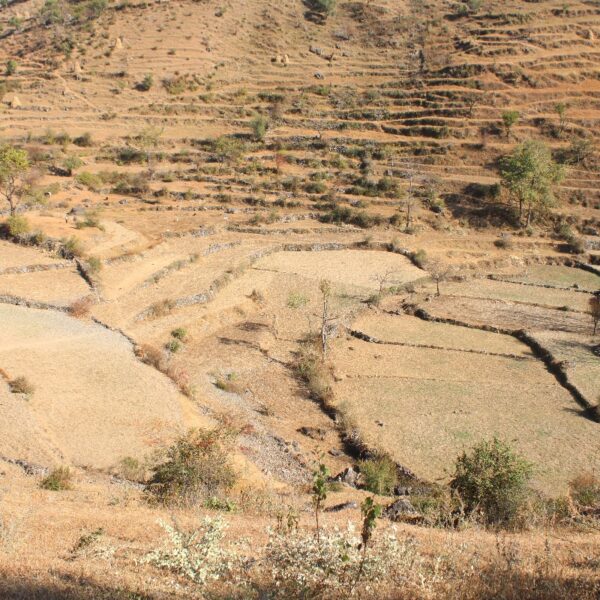 युवाहरूको सक्रियतामा बुङ्गल खेलकुद रंगशाला निर्माणको पहल