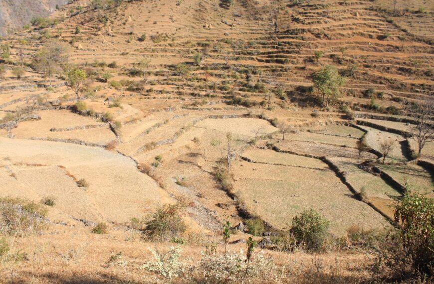 युवाहरूको सक्रियतामा बुङ्गल खेलकुद रंगशाला निर्माणको पहल